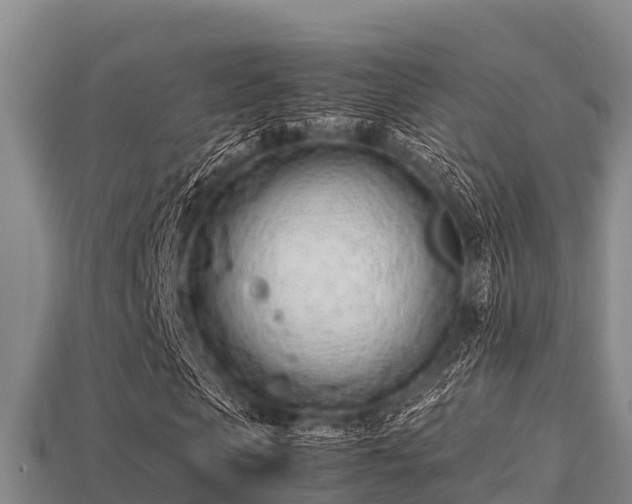 X0000113210913200909171531