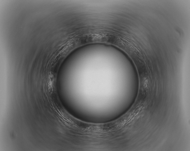 X0000113210914200909171531