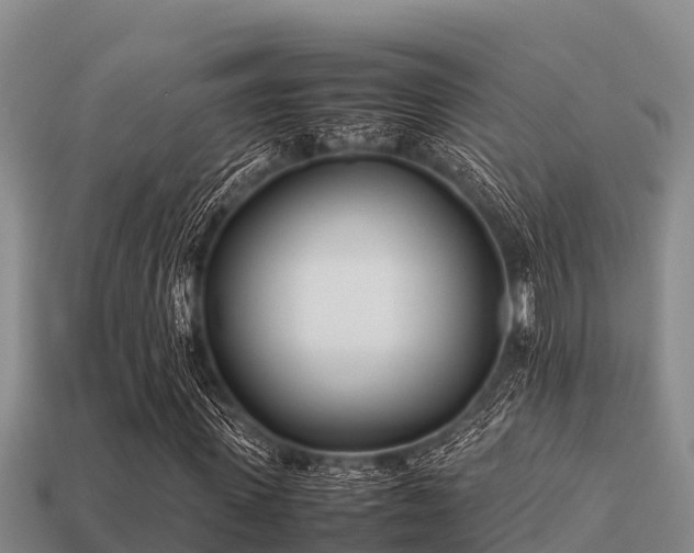 X0000113210915200909171531