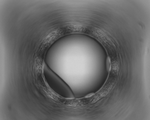 X0000113210916200909171531