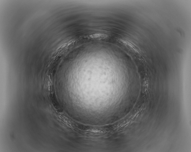 X0000113210917200909171531