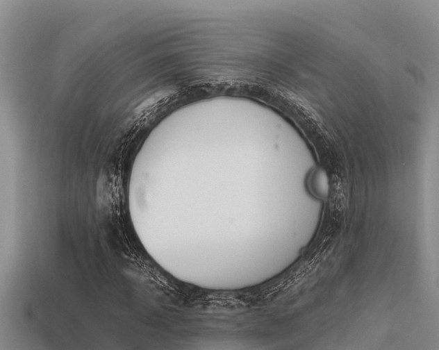 X0000113210918200909171531