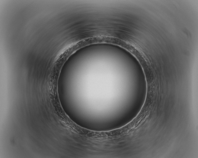 X0000113210919200909171531