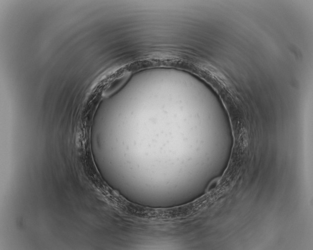 X0000113210920200909171531