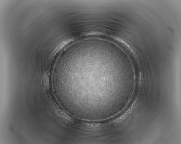 X0000113210921200909171531