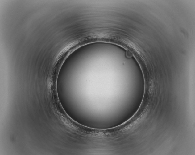 X0000113210922200909171531