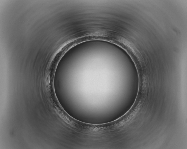 X0000113210923200909171531