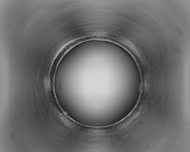 X0000113210924200909171531