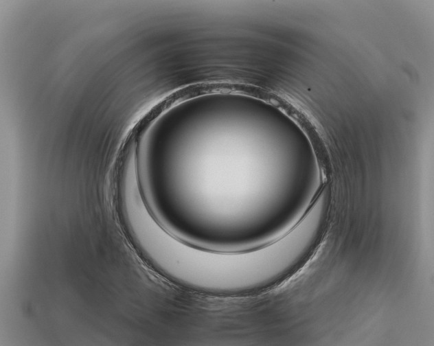 X0000113210925200909171531