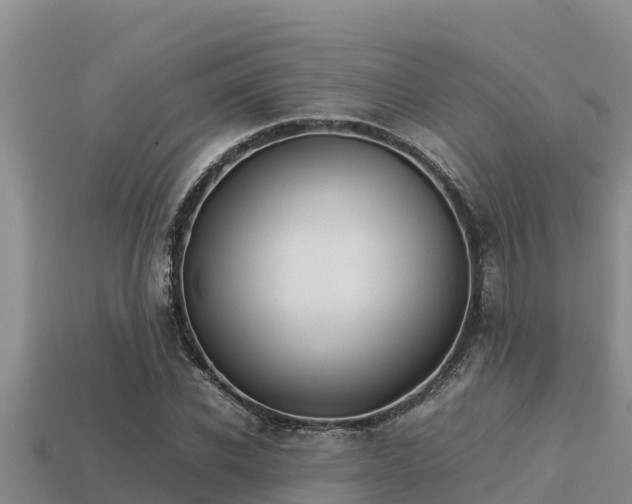 X0000113210926200909171531