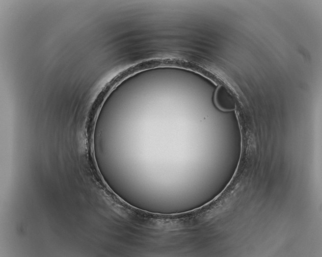 X0000113210927200909171531