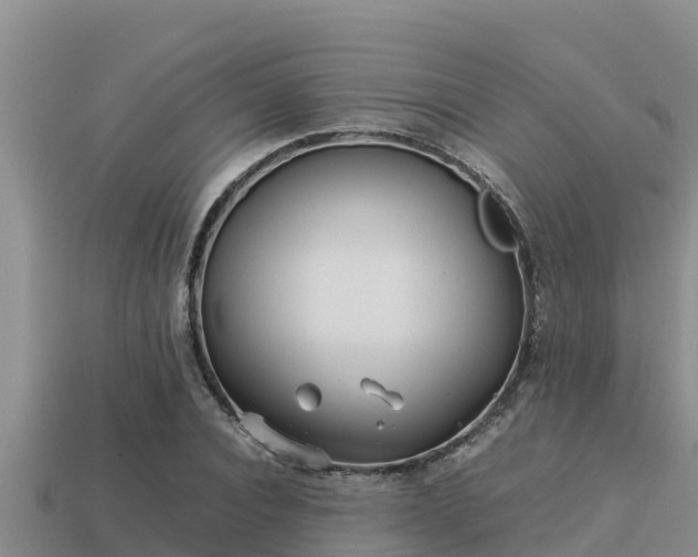 X0000113210928200909171531