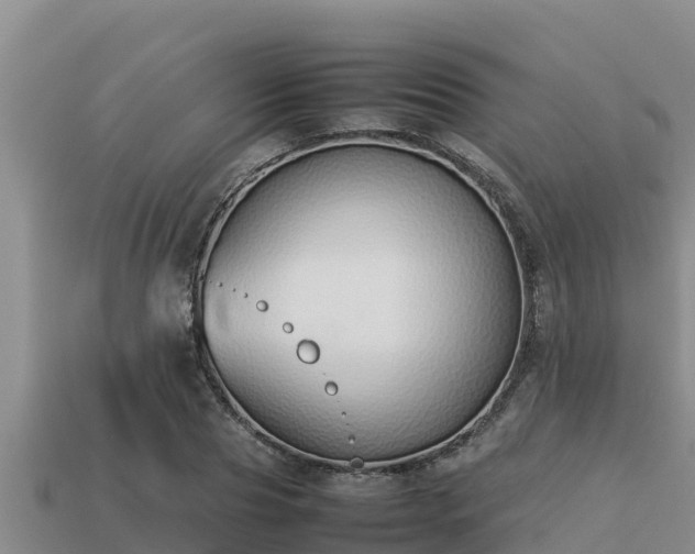 X0000113210929200909171531