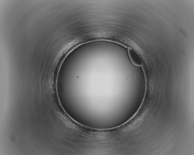 X0000113210930200909171531