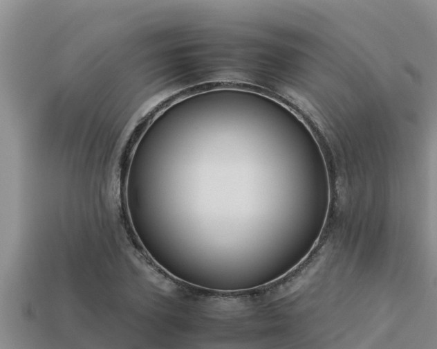 X0000113210931200909171531