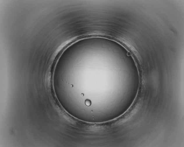 X0000113210933200909171531