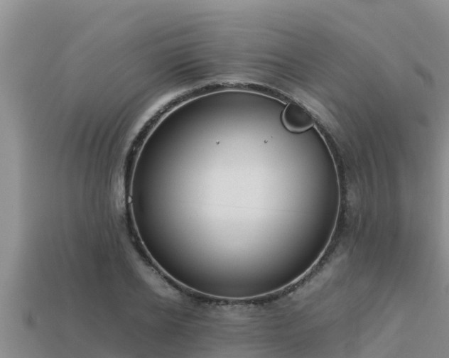 X0000113210934200909171531