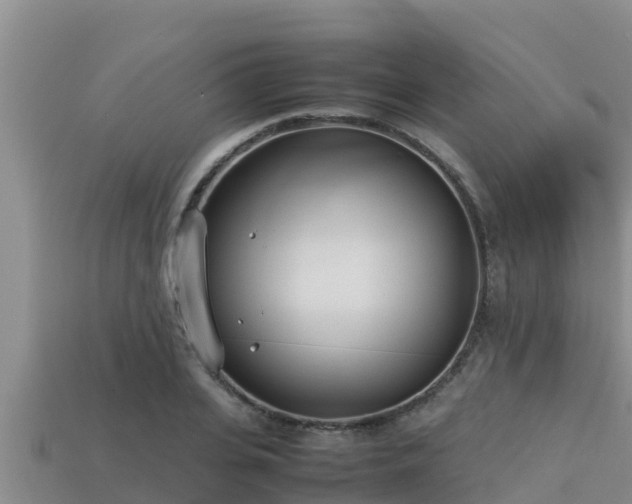 X0000113210935200909171531