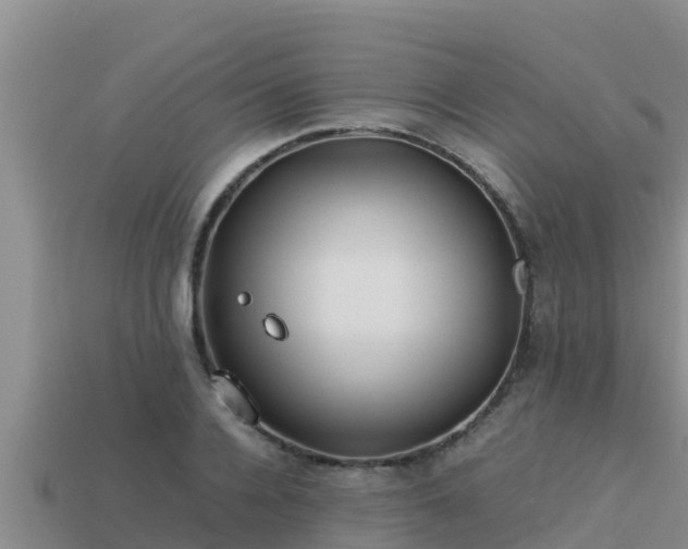 X0000113210936200909171531