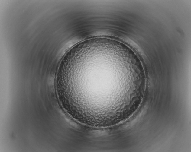 X0000113210937200909171531