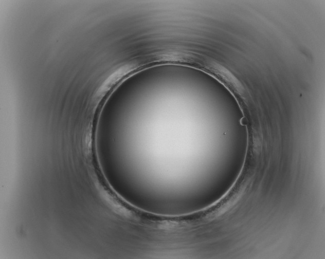 X0000113210938200909171531