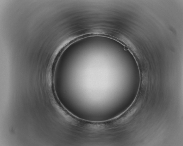 X0000113210939200909171531