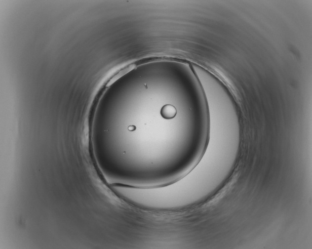 X0000113210940200909171531