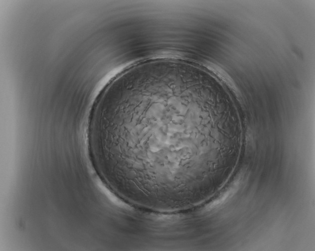 X0000113210941200909171531