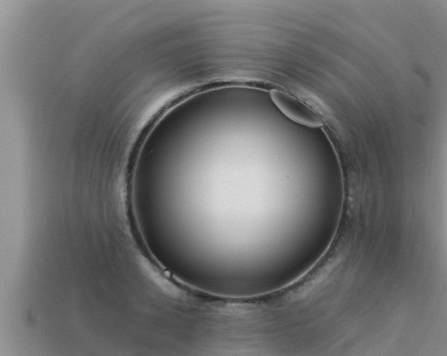 X0000113210942200909171531