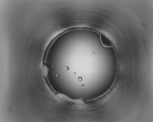 X0000113210943200909171531