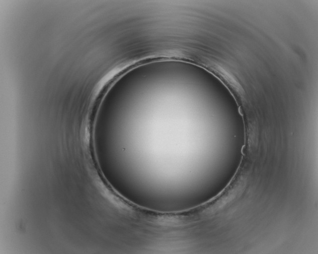 X0000113210944200909171531