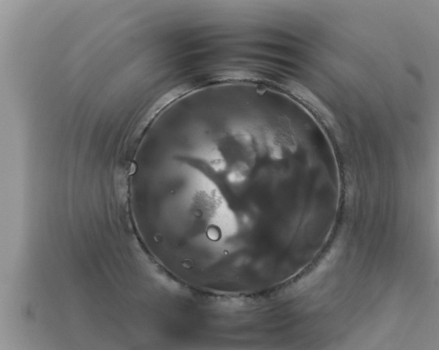 X0000113210945200909171531