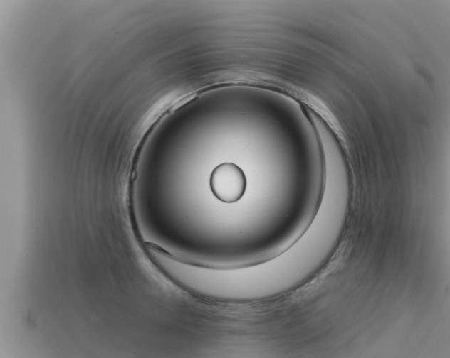 X0000113210946200909171531