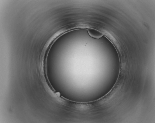 X0000113210947200909171531