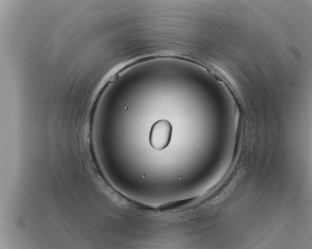 X0000113210948200909171531