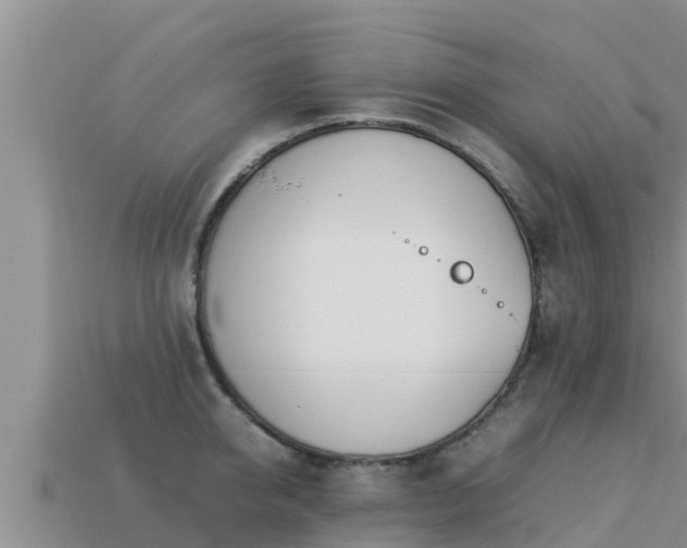 X0000113210950200909171531