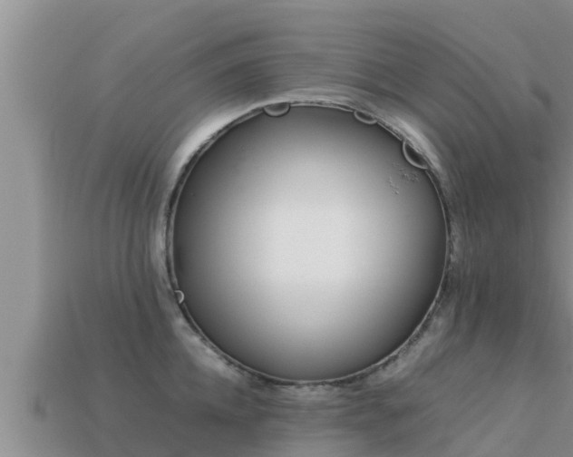 X0000113210952200909171531