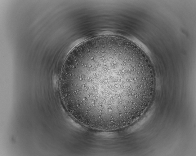 X0000113210953200909171531