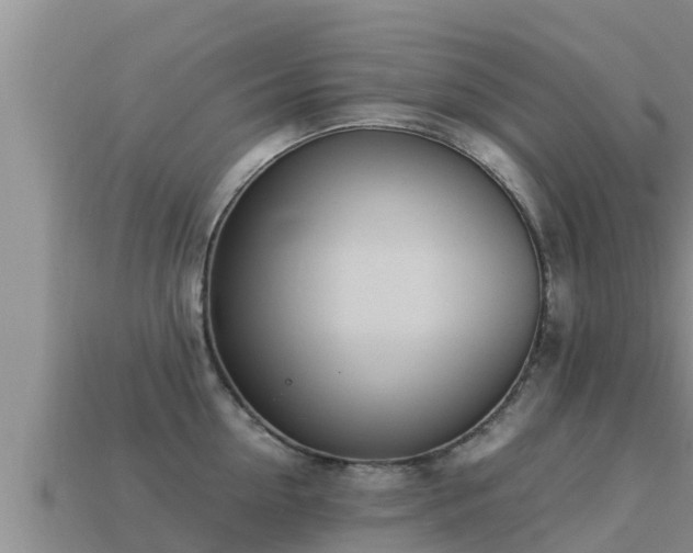 X0000113210954200909171531