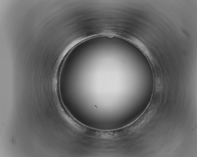 X0000113210955200909171531