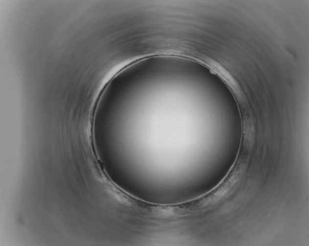 X0000113210956200909171531