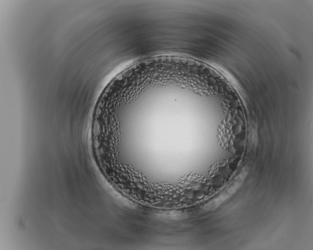 X0000113210957200909171531