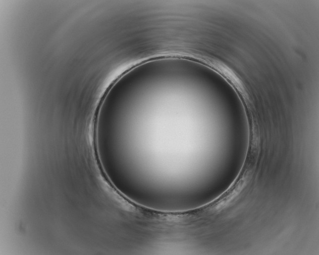 X0000113210958200909171531