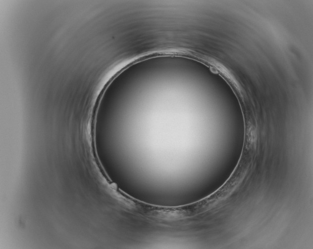 X0000113210959200909171531