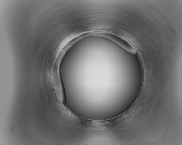 X0000113210960200909171531