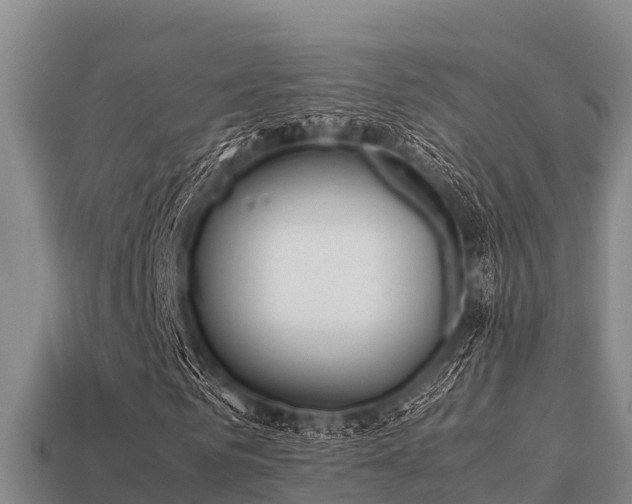 X0000113210961200909171531