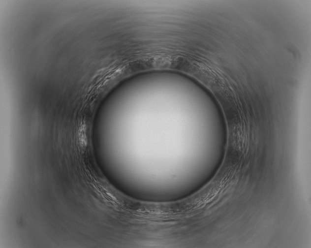 X0000113210962200909171531