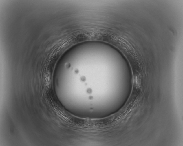 X0000113210963200909171531