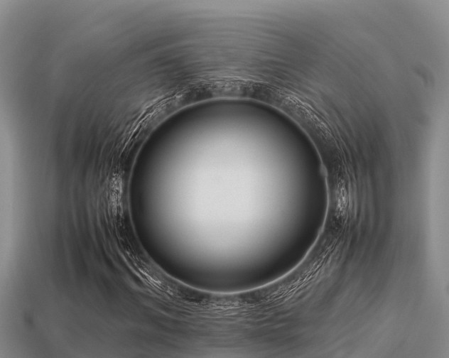 X0000113210964200909171531