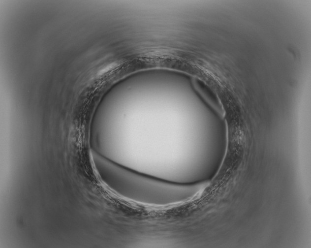 X0000113210965200909171531